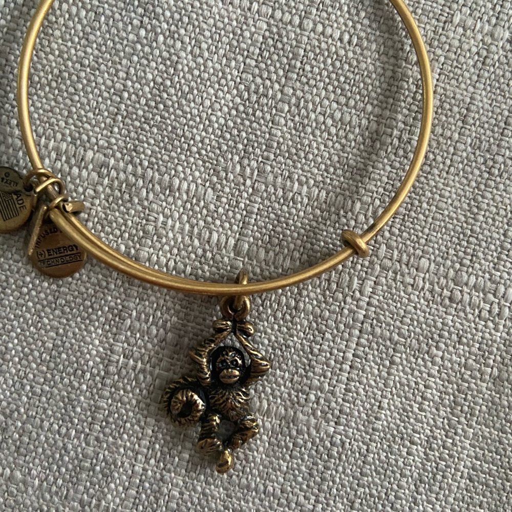 Alex and ani monkey bracelet